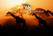 The Giraffe Whisperer - The Legacy of Biologist Anne Innis Dagg: W5