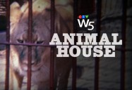 Animal House: W5