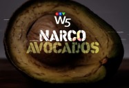 Narco Avocados: W5