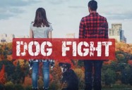 Dog Fight - Breakups Causing Intense Pet Custody Battles: W5