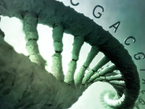 DNA, Superdoctor
