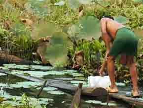 L' eau : une ressource, un défi: Les Artisans du changement