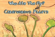 Who Ate The Fly?: Carnivorous Plants
