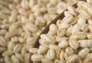Barley: Ancient Grains - Nutritional Powerhouses Series