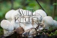 Wild Kitchen Series