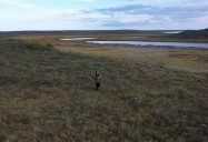 Cheeta Gruban - Living in the Tundra: Northern/Her Series