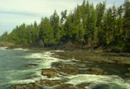 Juan de Fuca Marine Trail - BC (Episode 20)