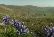 Ivvavik National Park - YT (26/70)