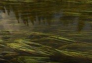 The Grass River, MB: Great Canadian Rivers (Season 3)