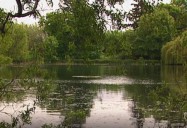 Hatley Park, BC (56/65)