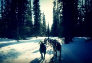 Normand Casavant – Traîneau à chien au Yukon: Guides d’adventures, Saison 1