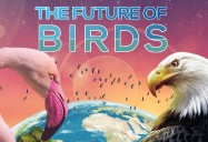 The Future of Birds