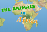 The Animals in Africa
