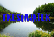 Freshwater: Biomes Series