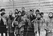 The Liberation of Auschwitz: The 70th Anniversary