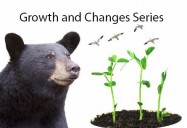 Growth and Changes Series