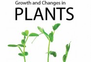 Growth and Changes in Plants