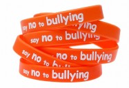 Bullying Awareness Playlist (8 Programs)