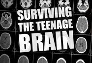 Surviving the Teenage Brain