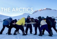 The Arctics