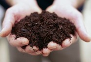 The Secrets of Soil