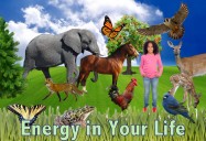 Energy in Your Life