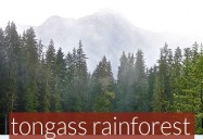 Landscape of Change: The Tongass National Forest