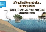 A Teaching Moment with Liz Miller (Featuring the Shore Line Project)