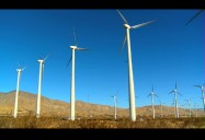 Go Green, Save Green