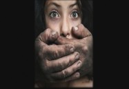 Violence: Physical and Verbal (Vol. 5): The Employee Awareness Series