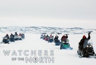 Watchers of the North Series