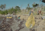 Incredible Shoreline Restoration: Restoration Planet Series, Season 2