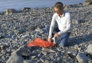 Newfoundland Harbour Clean Up: Restoration Planet Series, Season 1