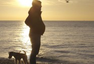 Seahorse: The Dad who Gave Birth