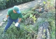 Landscaping, Planting & Watering Tools - Vol. Three