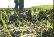 The Properties of Soil