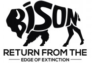 Bison Return From the Edge of Extinction