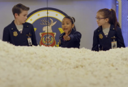 High Maintenance (Episode 14A): Odd Squad Series Two
