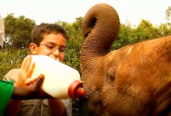 Kenya - Elephants (Episode 23): Are We There Yet? World Adventure (Season 1)