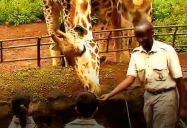 Kenya - Giraffes (Episode 24): Are We There Yet? World Adventure (Season 1)