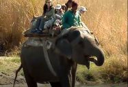India - Safari (Episode 32): Are We There Yet? World Adventure (Season 1)