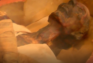 Egypt - Mummies: Are We There Yet? World Adventure, Season 2