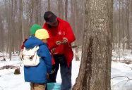 Canada - Maple Syrup (Episode 38): Are We There Yet? World Adventure (Season 2)
