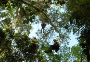 Brazil - Tree Climbing: Are We There Yet? World Adventure, Season 3