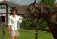 Hungary - Horses (Episode 18): Are We There Yet? World Adventure (Season 3)