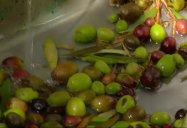 Israel - Olives (Episode 22): Are We There Yet? World Adventure (Season 3)