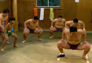 Japan - Sumo Wrestling (Episode 29): Are We There Yet? World Adventure (Season 3)