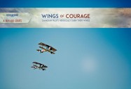 Wings of Courage: A Nation Soars Series