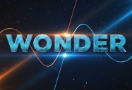 Wonder Series