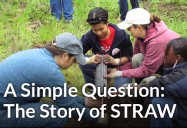 A Simple Question: The Story of STRAW